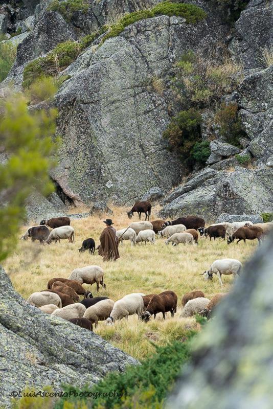 Senhora Da Estrela Al Lejlighed Seia Eksteriør billede